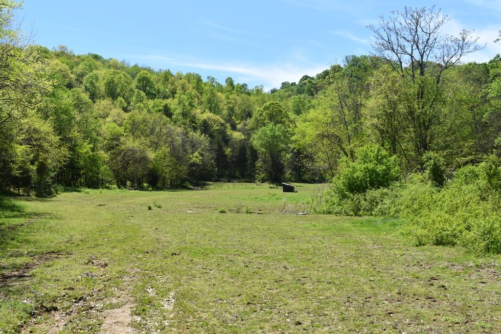 14436 Indian Springs Road Buffalo Valley, TN 38548 - Photo 18 of 24 a view of outdoor space with trees all around