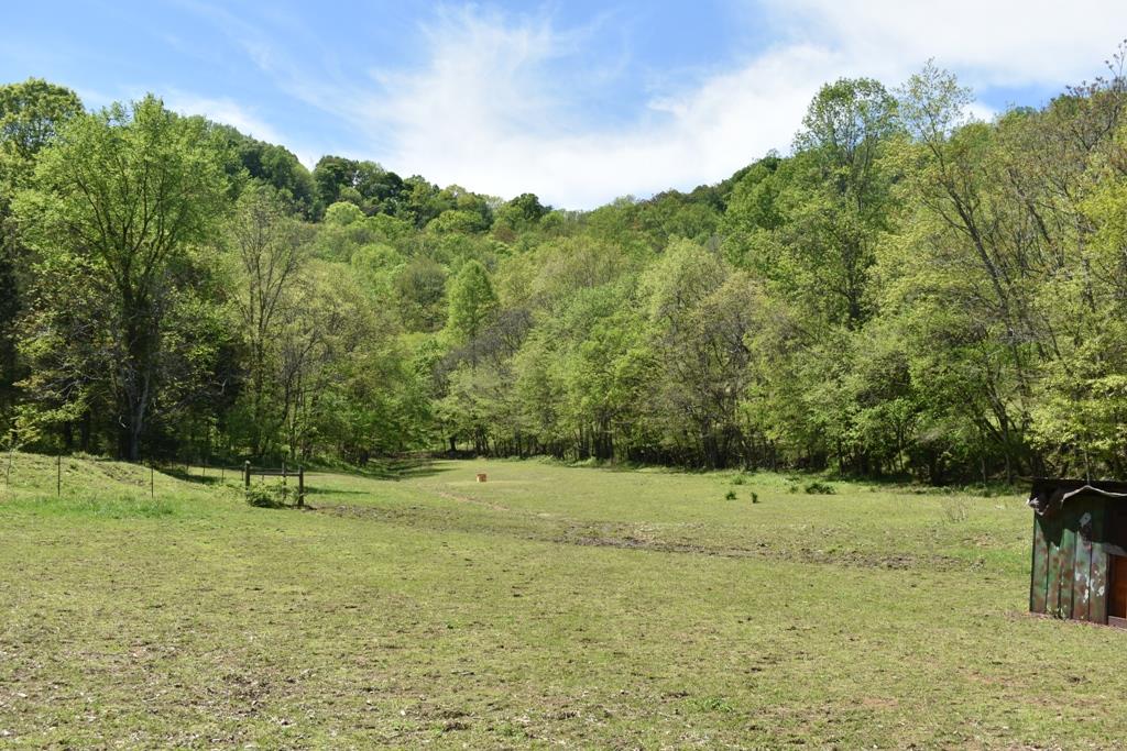 14436 Indian Springs Road Buffalo Valley, TN 38548 - Photo 19 of 24 a big yard with lots of green space and fog