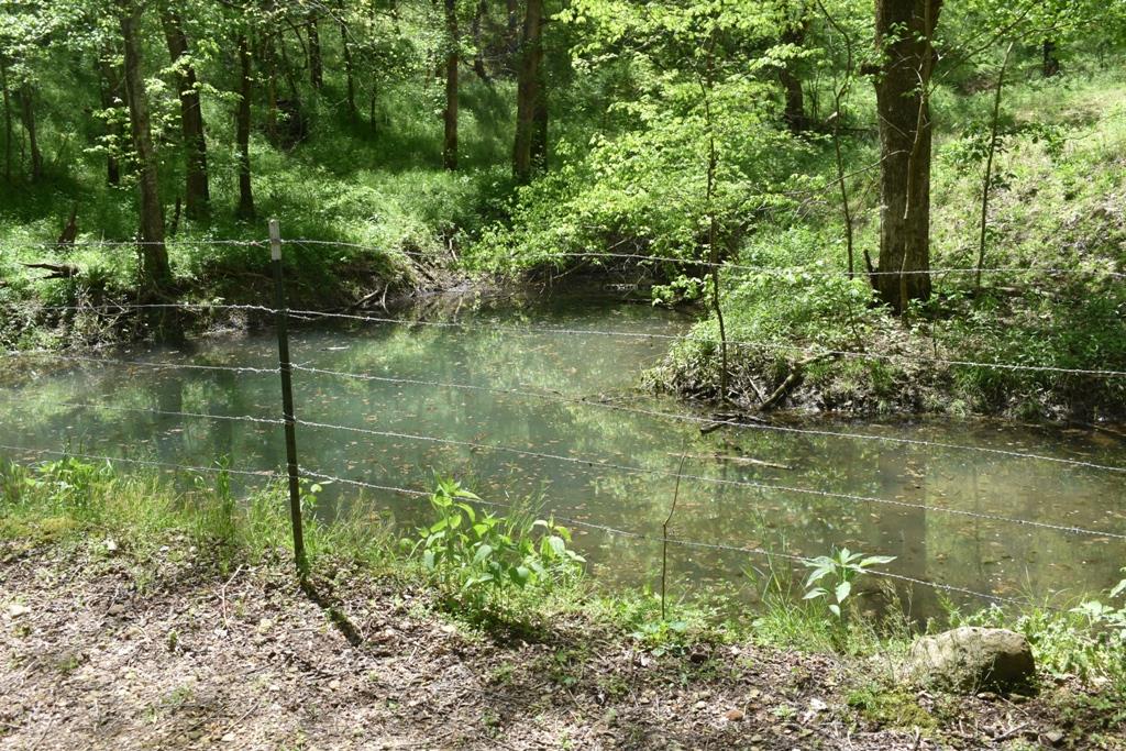 14436 Indian Springs Road Buffalo Valley, TN 38548 - Photo 21 of 24 a view of lake