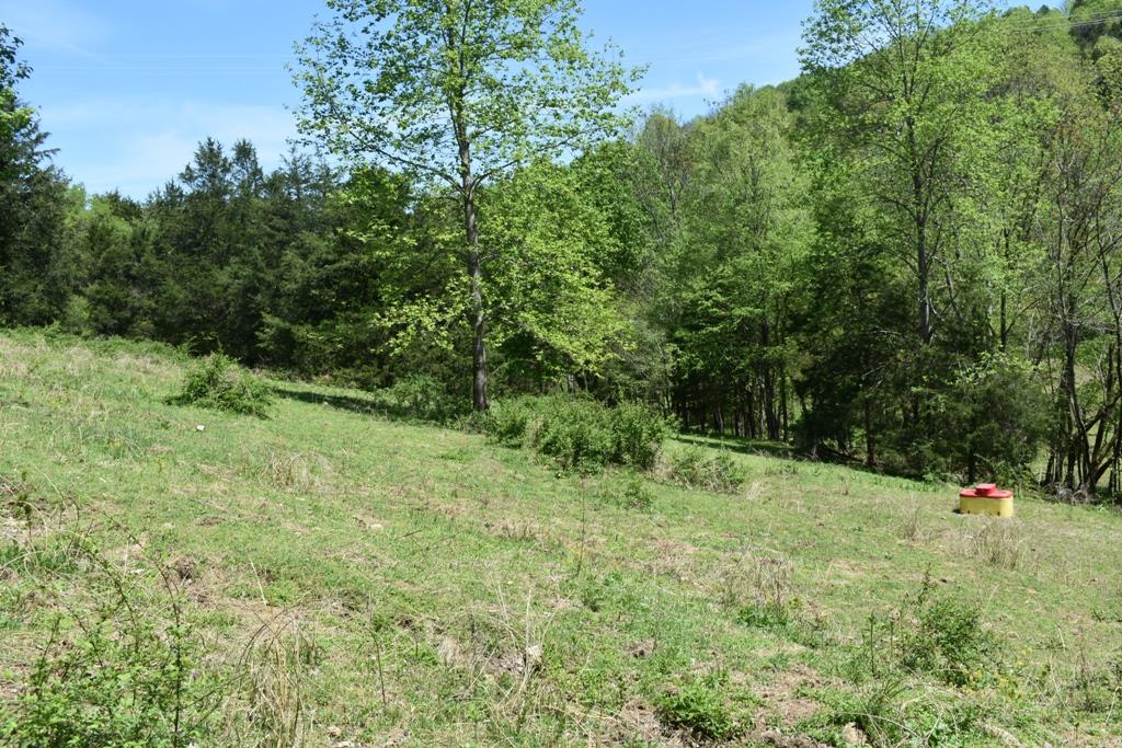 14436 Indian Springs Road Buffalo Valley, TN 38548 - Photo 23 of 24 a view of outdoor space and yard