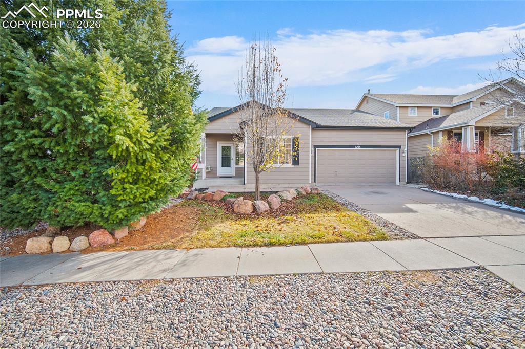 7215 Amber Ridge Drive Colorado Springs, CO 80922 - Photo 43 of 48