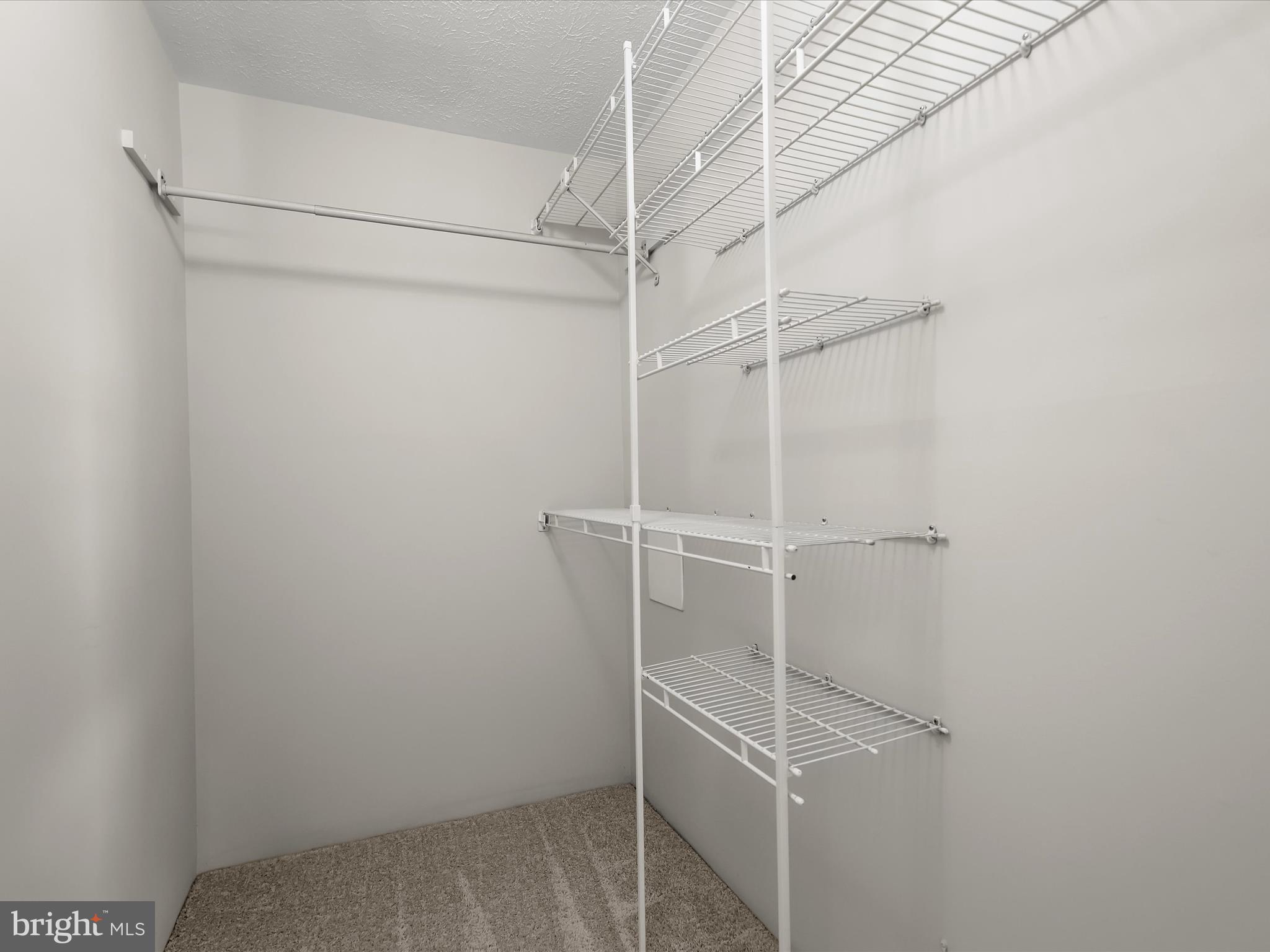 7971 Quail Court Glen Burnie, MD 21061 - Photo 29 of 52 a room with an empty walk in closet