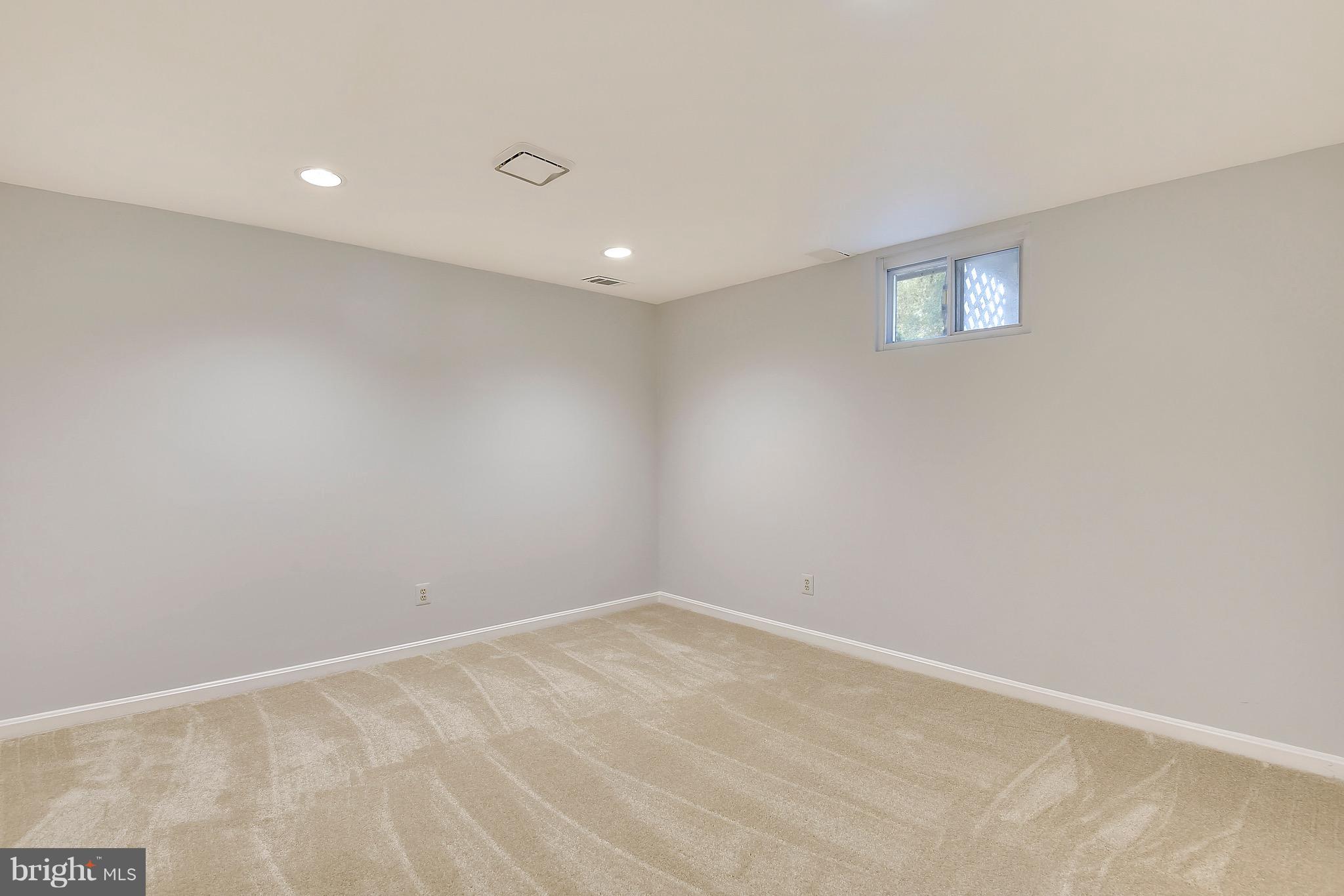 9203 Linton Street Silver Spring, MD 20901 - Photo 22 of 30 Lower LeelBonus Room