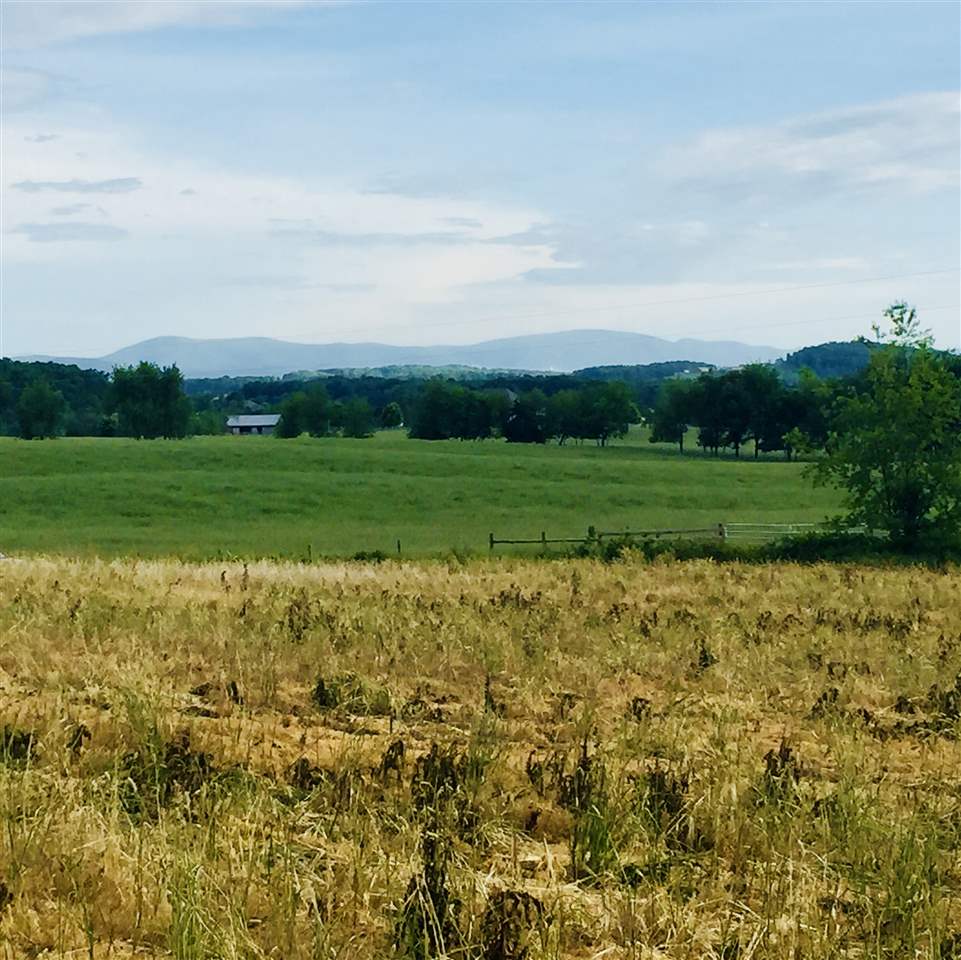 Tbd Round Hill Road New Hope, VA 24431 - Photo 3 of 6 a view of a big yard with a large trees