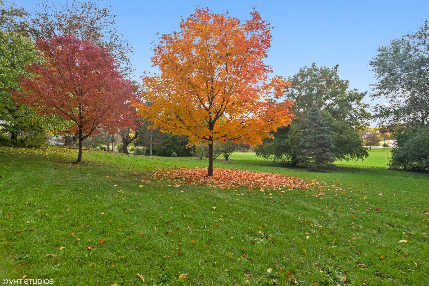 404 Cumnock Road Inverness, IL 60067 - Photo 27 of 34 a view of yard with tree s