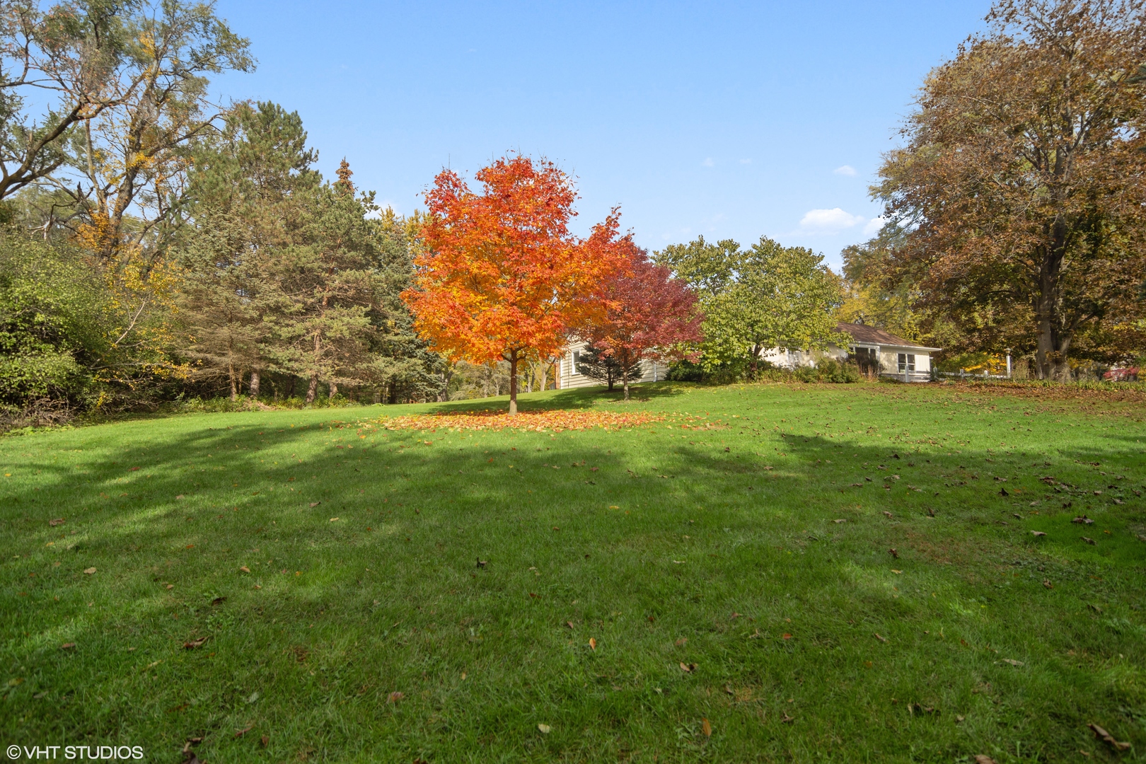 404 Cumnock Road Inverness, IL 60067 - Photo 29 of 34 a view of field with tall trees