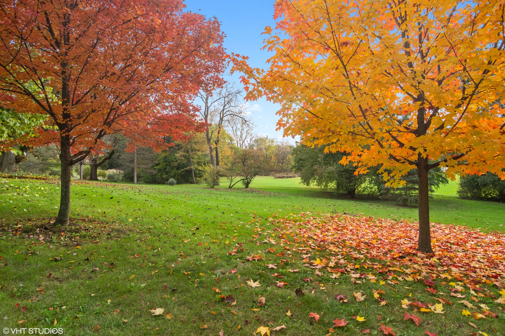 404 Cumnock Road Inverness, IL 60067 - Photo 31 of 34 a view of a park with large trees
