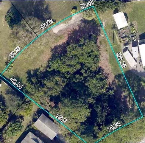 a view of a garden with flowers