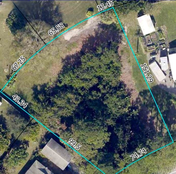 491 Bywood Avenue Sebastian, FL 32958 - Photo 2 of 3 a view of a garden with flowers