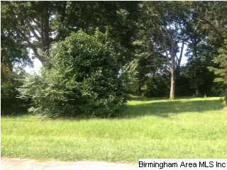 211 Brenda Road, Unit LOT 2 Anniston, AL 36206 - Photo 3 of 3