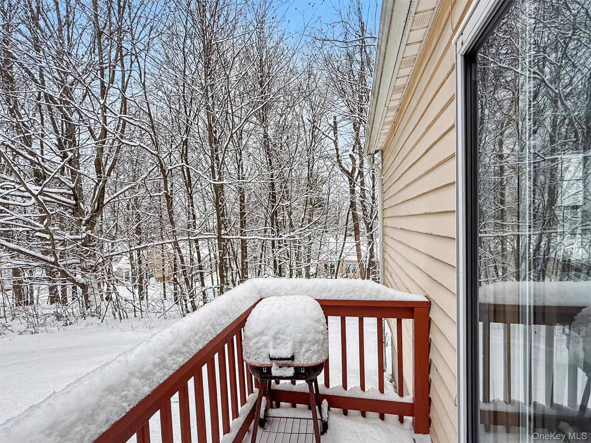51 Hidden Ridge Drive Monticello, NY 12701 - Photo 20 of 31 Pretty backyard views in every season!