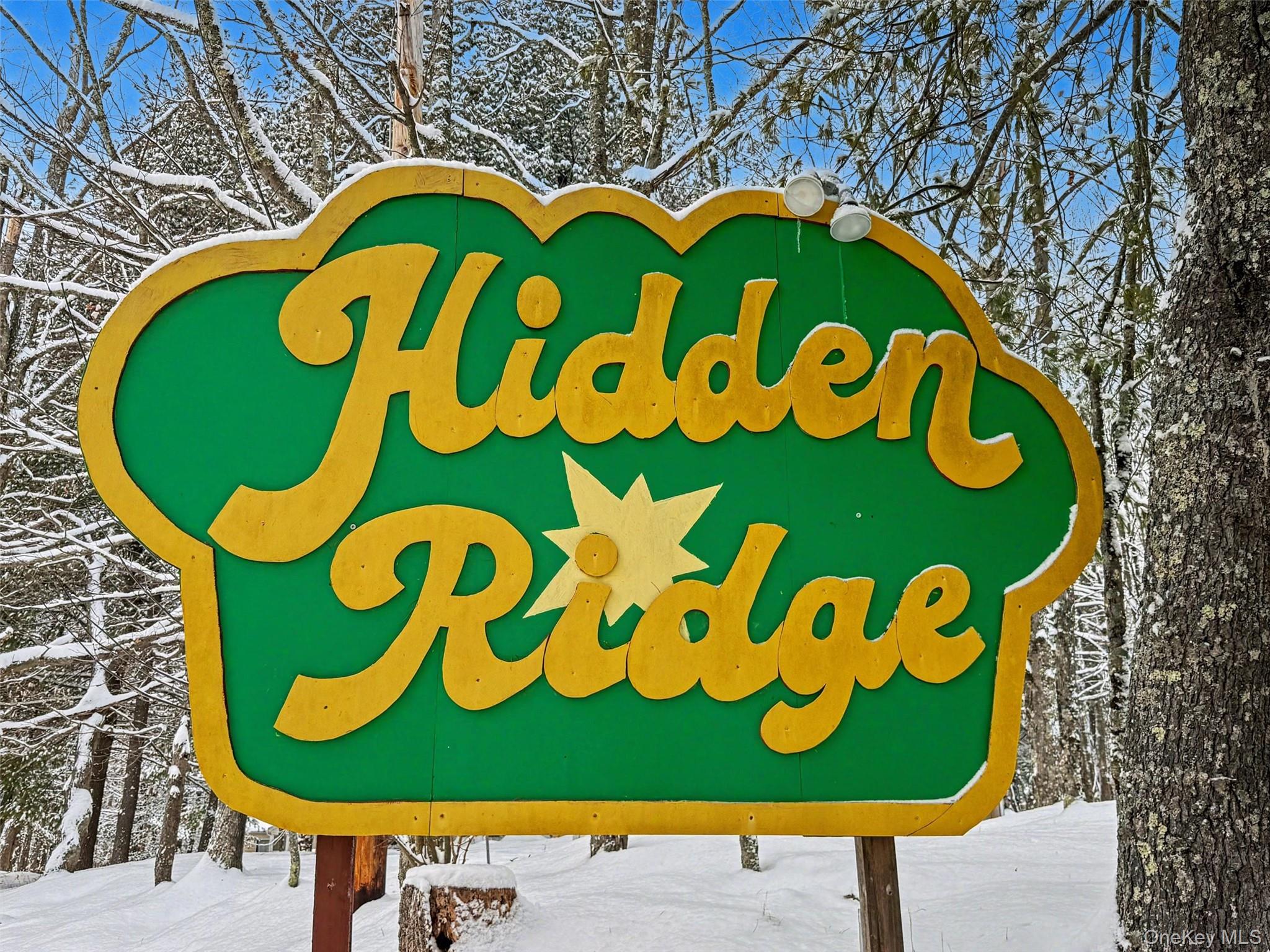 51 Hidden Ridge Drive Monticello, NY 12701 - Photo 31 of 31 Enjoy a staycation in the beautiful Hidden Ridge community - the "Jewel of the Catskills." Residents have access to a clubhouse, pool, and fitness center, all while being just minutes from everything the Catskills has to offer.