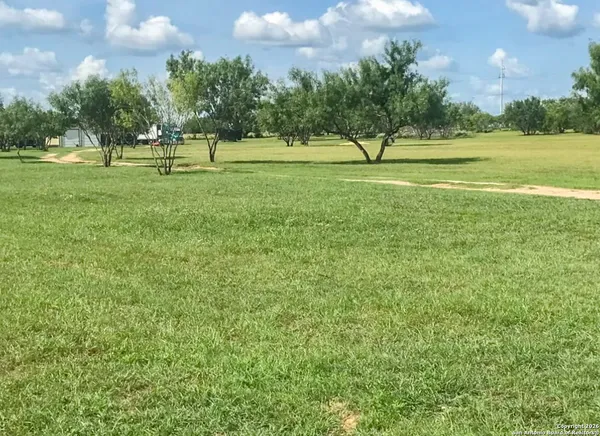 a view of outdoor space with garden and trees