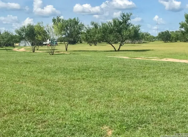 a view of outdoor space with garden and trees
