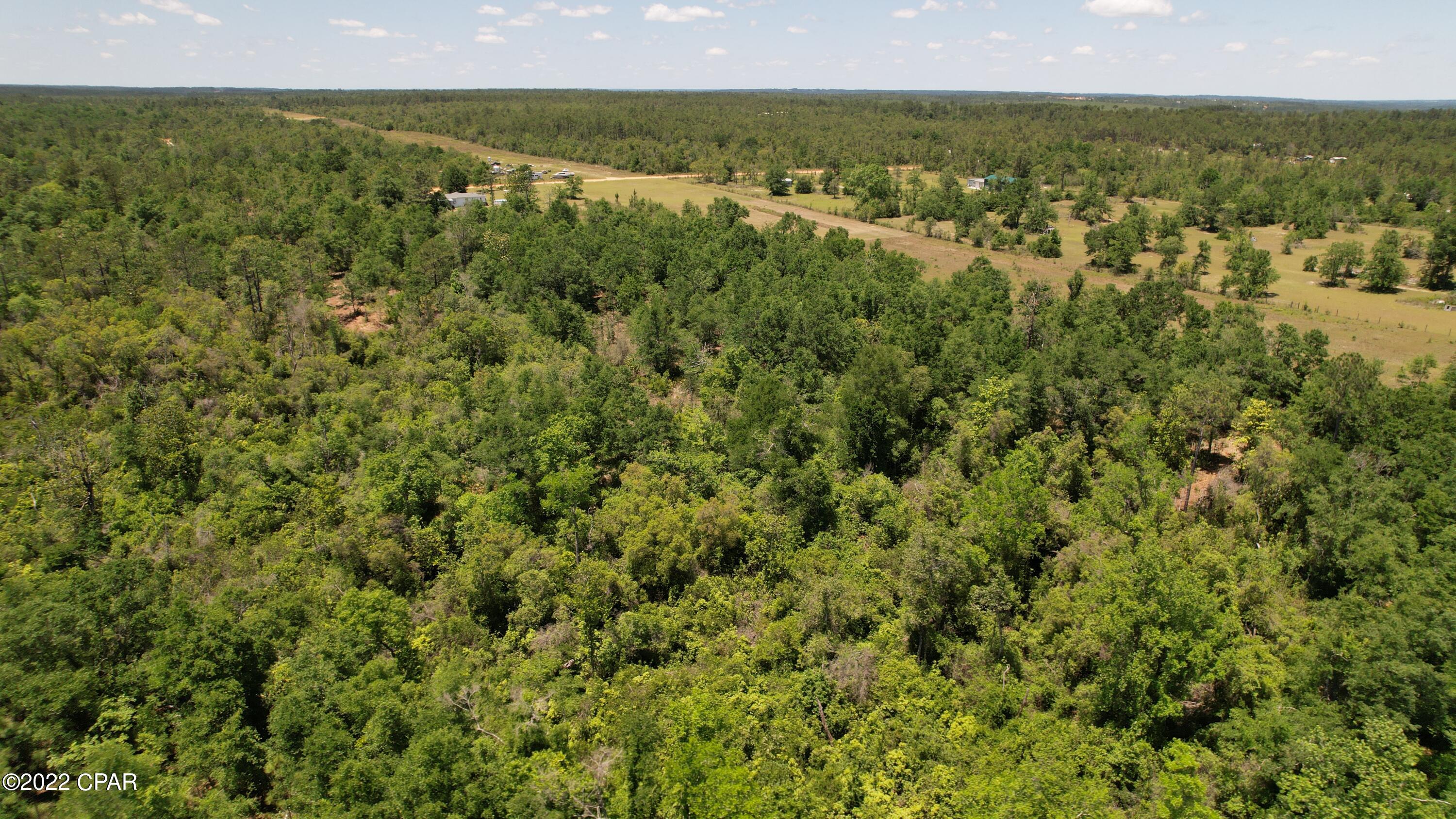 0 Diddly Road Chipley, FL 32428 - Photo 7 of 25 Gallery Image 7