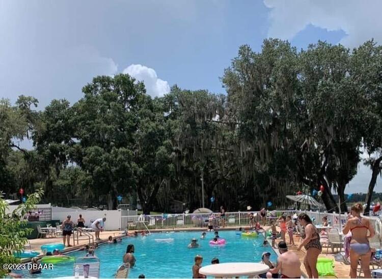 14101 Northeast 253 Ct Road Salt Springs, FL 32134 - Photo 11 of 14 park pool 2
