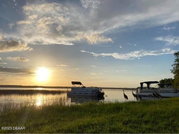 14101 Northeast 253 Ct Road Salt Springs, FL 32134 - Photo 13 of 14 park pick 1