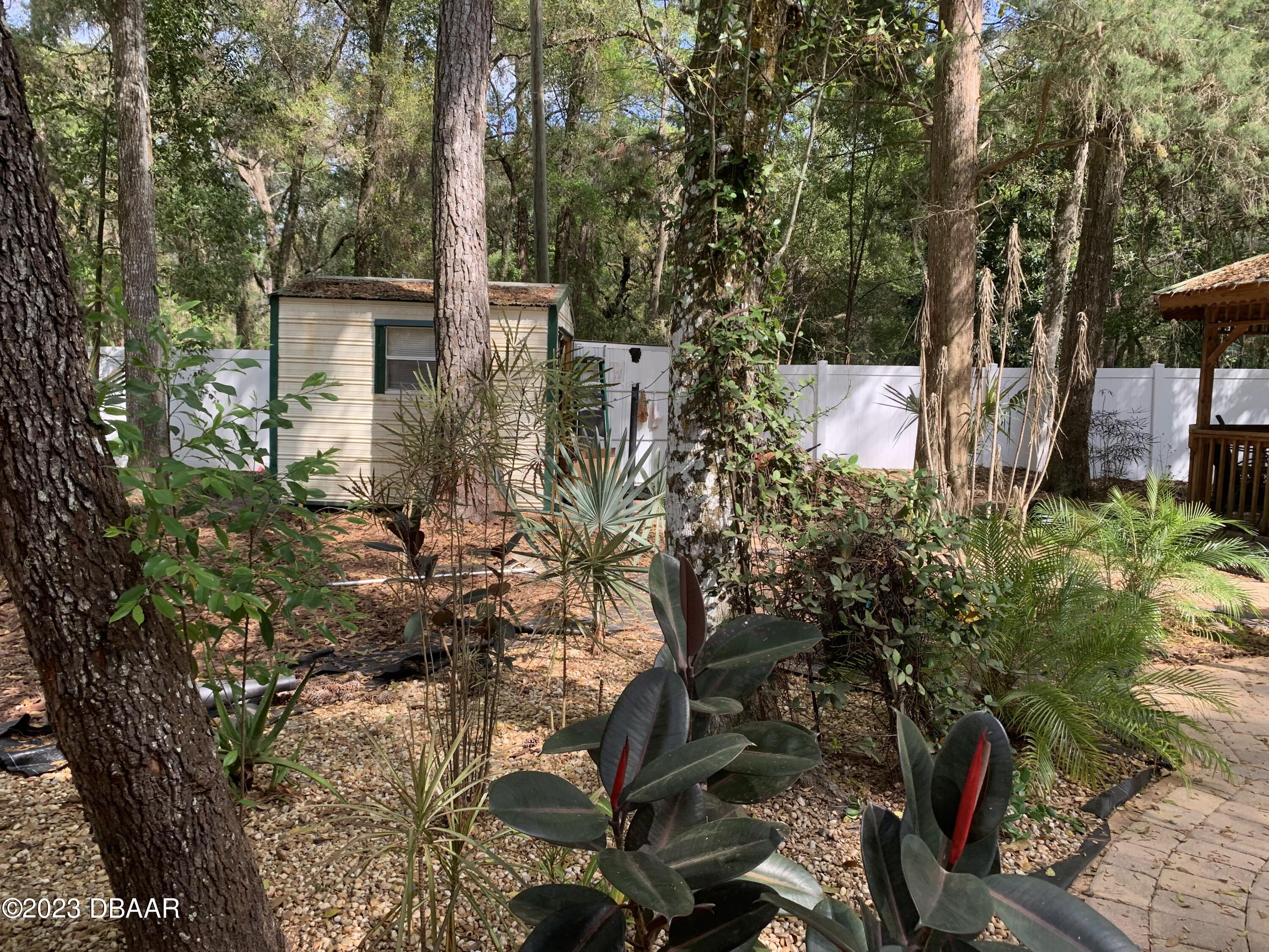 14101 Northeast 253 Ct Road Salt Springs, FL 32134 - Photo 4 of 14 pic lot 414 2