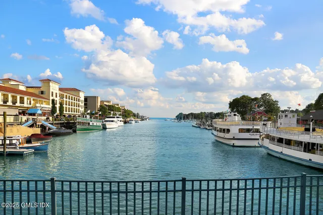 a view of a swimming pool with lounge chair