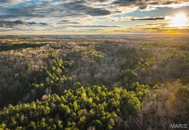 $375,015 | 0 Slaughter Road, Licking, MO 65542