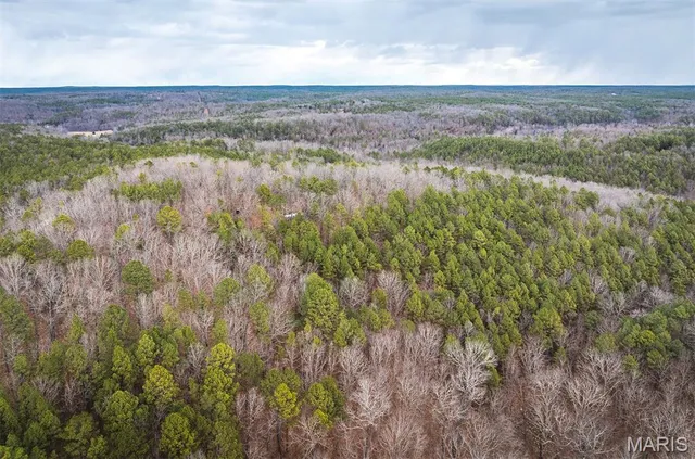 $375,015 | 0 Slaughter Road, Licking, MO 65542