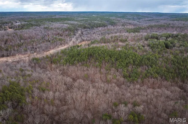 $375,015 | 0 Slaughter Road, Licking, MO 65542