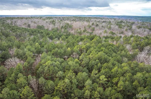 $375,015 | 0 Slaughter Road, Licking, MO 65542