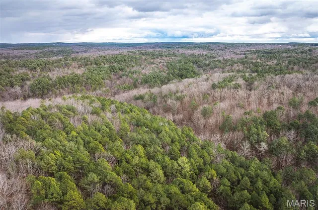 $375,015 | 0 Slaughter Road, Licking, MO 65542