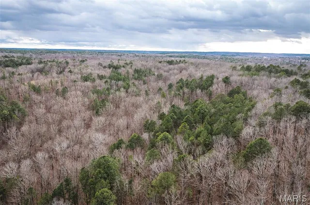 $375,015 | 0 Slaughter Road, Licking, MO 65542