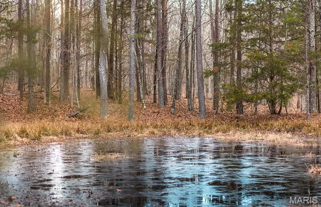 $375,015 | 0 Slaughter Road, Licking, MO 65542