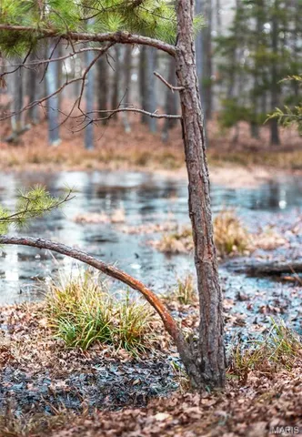 $375,015 | 0 Slaughter Road, Licking, MO 65542