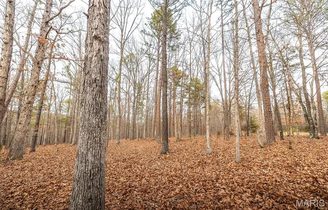 $375,015 | 0 Slaughter Road, Licking, MO 65542