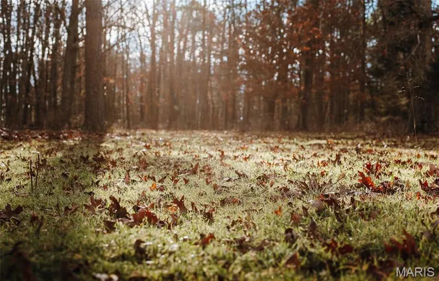 $375,015 | 0 Slaughter Road, Licking, MO 65542