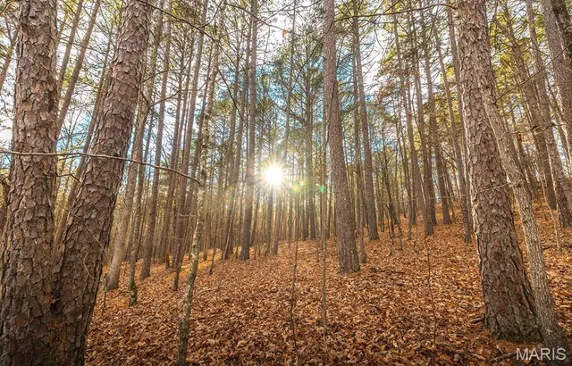 $375,015 | 0 Slaughter Road, Licking, MO 65542