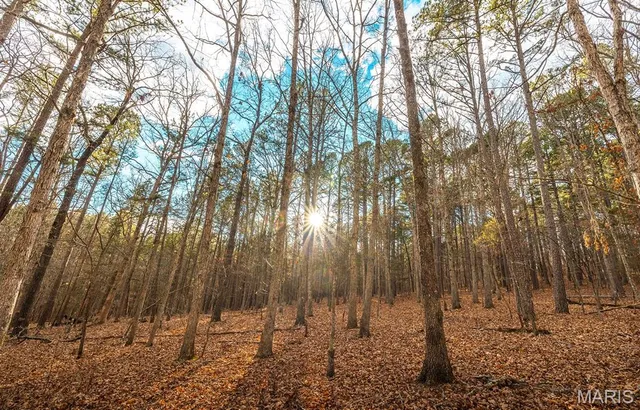 $375,015 | 0 Slaughter Road, Licking, MO 65542