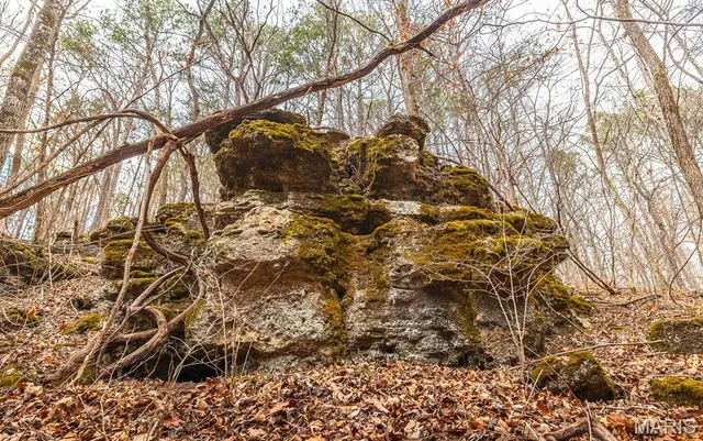 $375,015 | 0 Slaughter Road, Licking, MO 65542