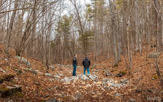 $375,015 | 0 Slaughter Road, Licking, MO 65542