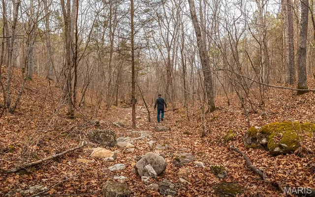 $375,015 | 0 Slaughter Road, Licking, MO 65542