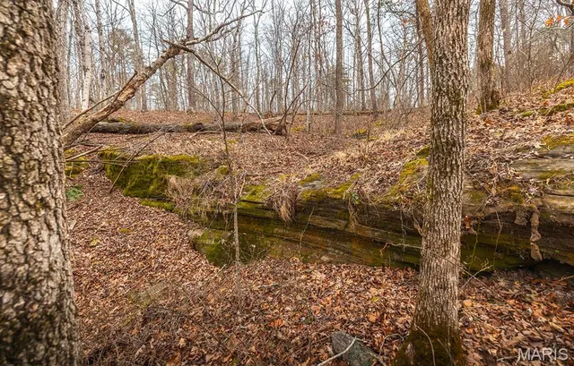 $375,015 | 0 Slaughter Road, Licking, MO 65542