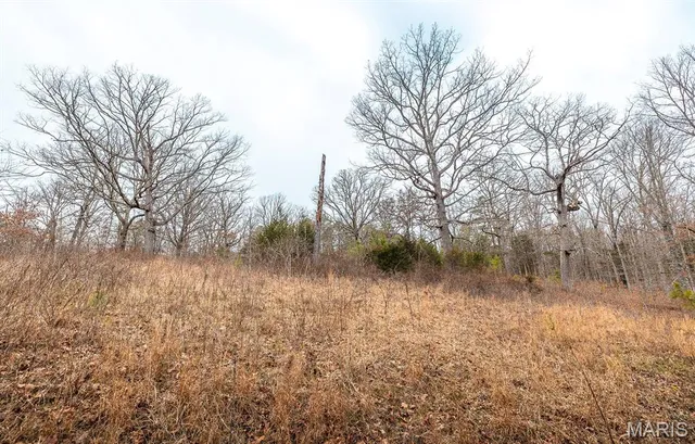 $375,015 | 0 Slaughter Road, Licking, MO 65542