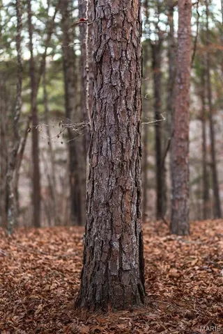 $375,015 | 0 Slaughter Road, Licking, MO 65542