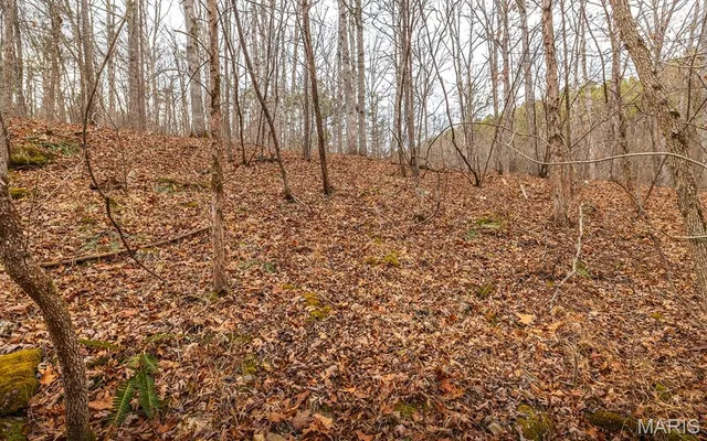 $375,015 | 0 Slaughter Road, Licking, MO 65542