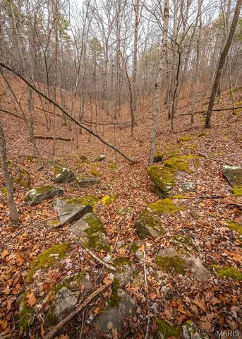 $375,015 | 0 Slaughter Road, Licking, MO 65542