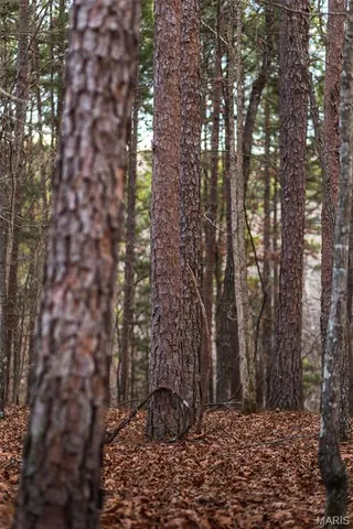 $375,015 | 0 Slaughter Road, Licking, MO 65542