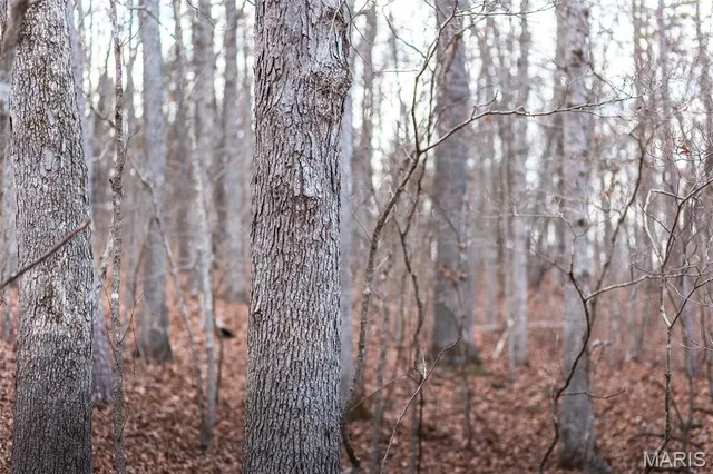 $375,015 | 0 Slaughter Road, Licking, MO 65542