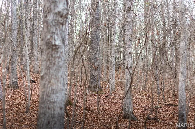 $375,015 | 0 Slaughter Road, Licking, MO 65542