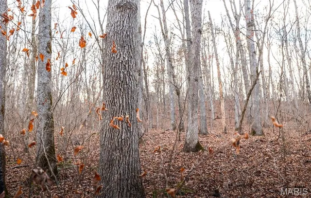 $375,015 | 0 Slaughter Road, Licking, MO 65542