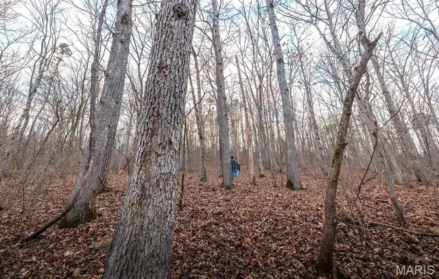 $375,015 | 0 Slaughter Road, Licking, MO 65542