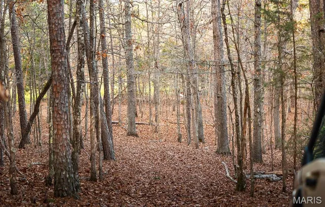 $375,015 | 0 Slaughter Road, Licking, MO 65542