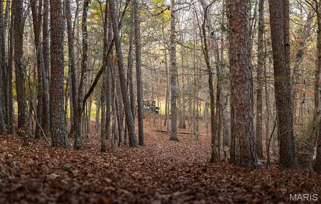 $375,015 | 0 Slaughter Road, Licking, MO 65542